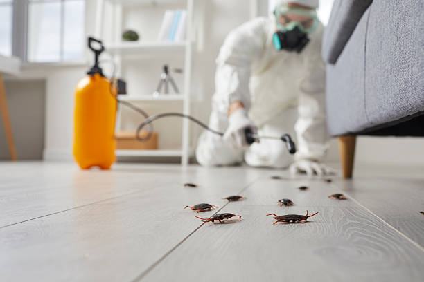 Commercial Kitchen Cockroach Control in Roseburg